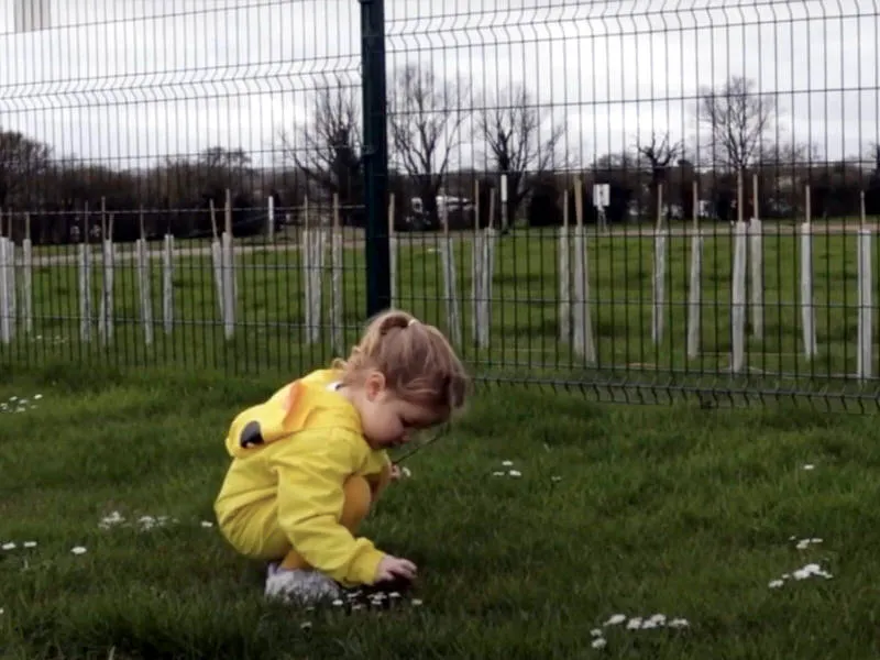 videographer hire packages 3 videographer hire packages 3