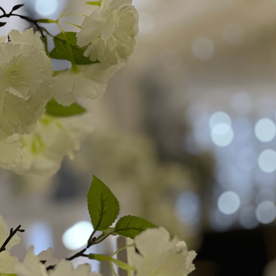 Rookery Hill Hall Hire Rookery Hill Hall Hire