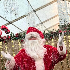 Santa Grotto In Essex