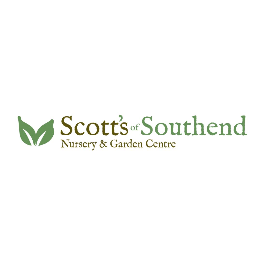 scotts of southend logo